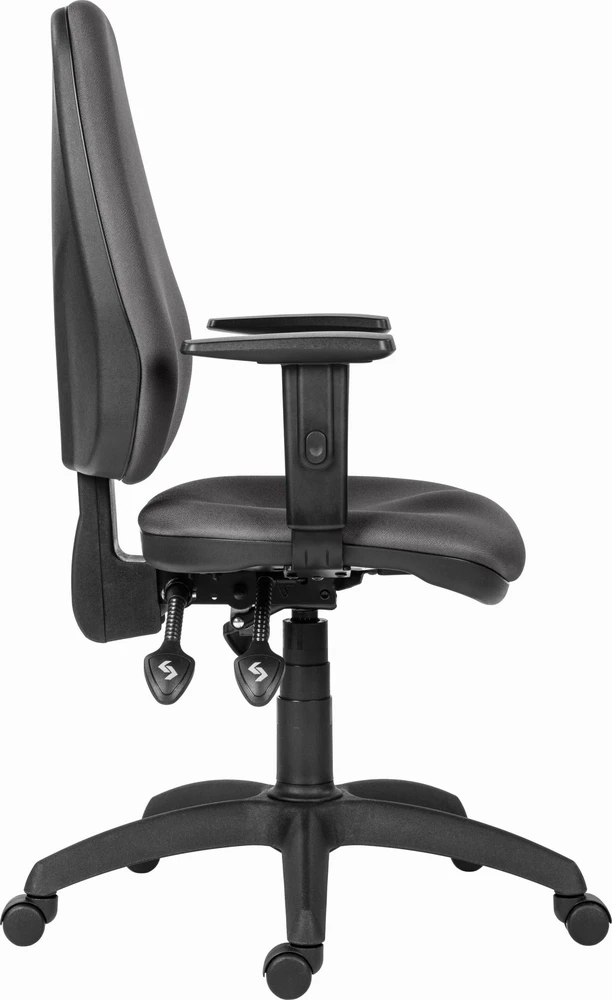 Powerton ERGO ANNA ergonominė biuro kėdė, rutulinė