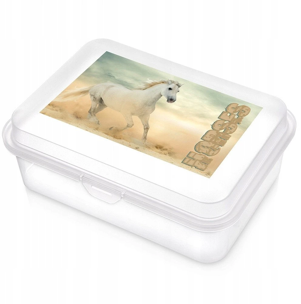 Praktyczna Orion Pietų dėžutė 750 ml - Bento dėžė - Uždarymo mechanizmas