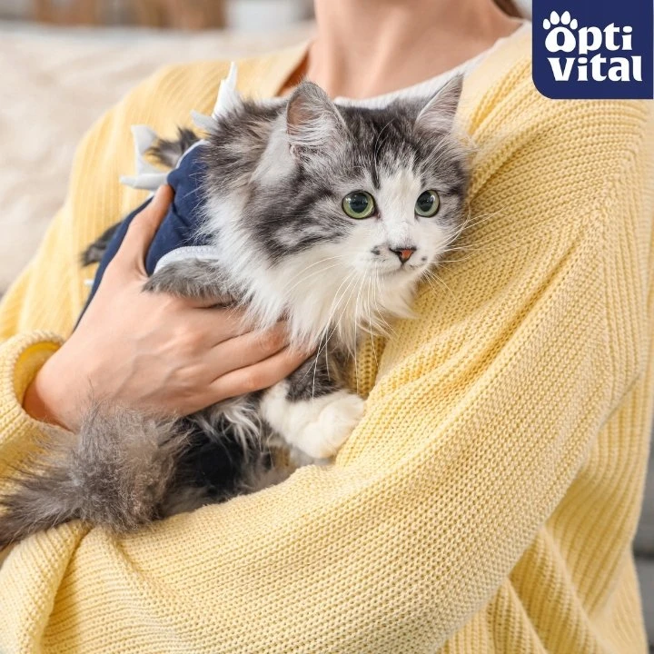 Maisto produktai - OptiVital Sterile Wet Cat Food with Veal in Gravy 415g