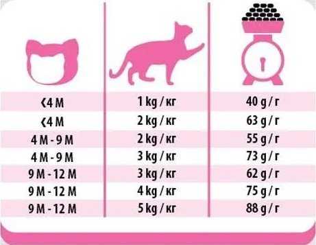 Kačių maistas - PREVITAL Junior Vištienos Sausas 950g
