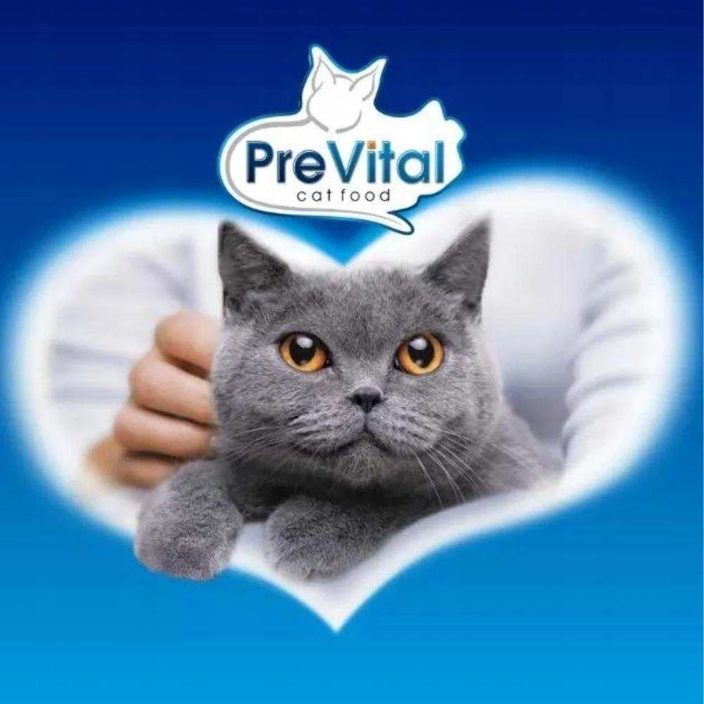 PREVITAL kačių maistas suaugusiems su vištiena - Sausas kačių maistas - 1,4kg