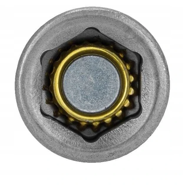Końcówka Antgalis su magnetiniu dangteliu, 1/4", 6 kampų, 8 mm, 1 vnt. prolino