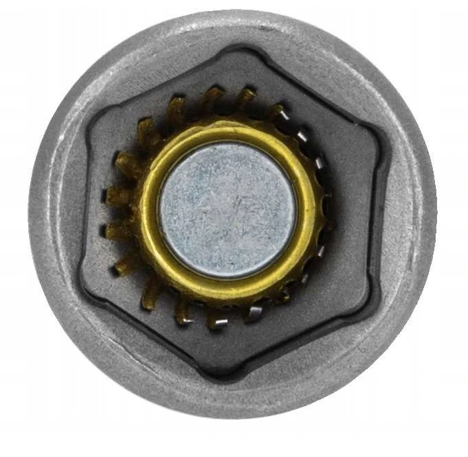 Końcówka Antgalis su magnetiniu dangteliu, 1/4", 6 kampų, 10 mm, 1 vnt. prolino