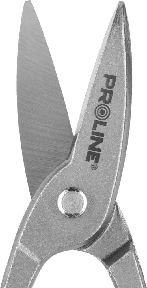 Nożyce „Berlin“ žirklės, 250 mm tiesios – iki 1,2 mm prolino