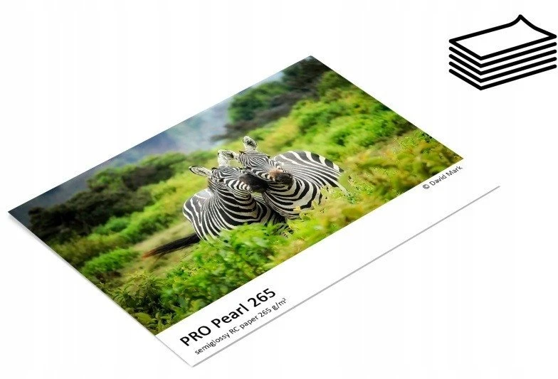 Fomei PRO Pearl A4 / 20+5 pages 265g/m2 (EY5216)