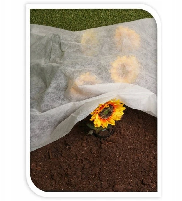 ProGarden Balta agrotekstilė, 1 x 10 m