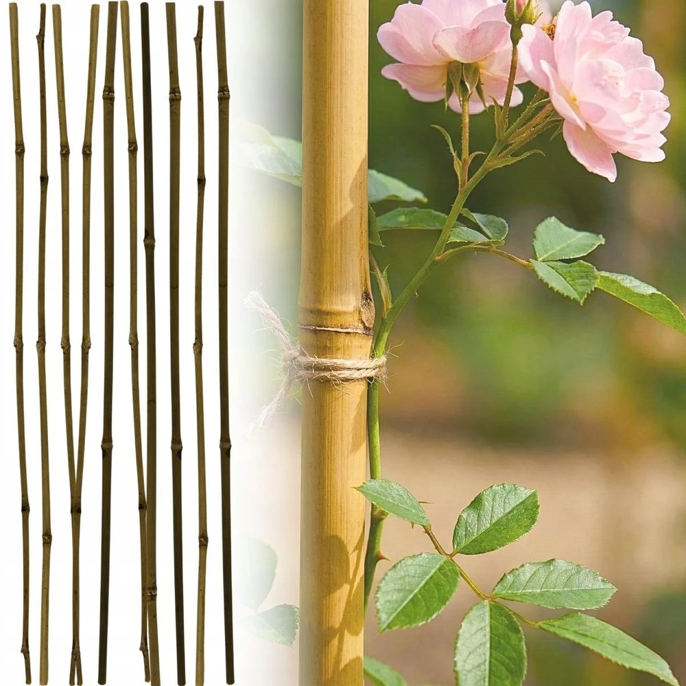 ProGarden bambuko lazdos augalams 60 cm, 10 vnt