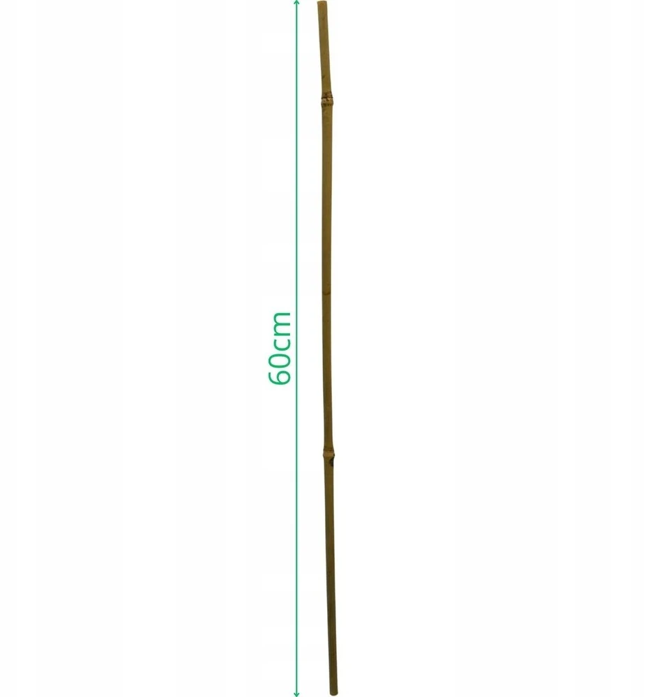 ProGarden bambuko lazdos augalams 60 cm, 10 vnt