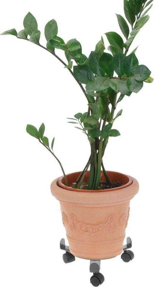 ProGarden Augalų padėklai su ratukais metalinė reguliuojama 23-30 cm