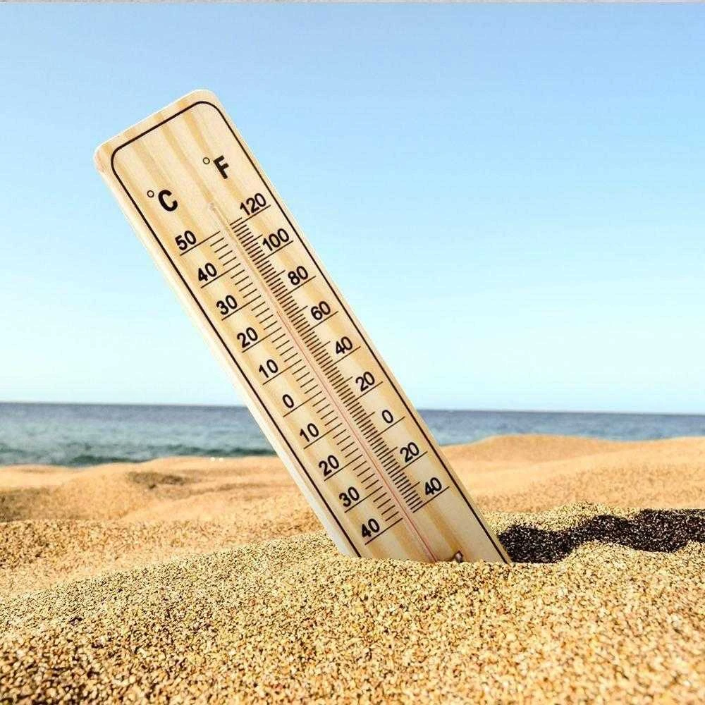 ProGarden Lauko termometras 22 cm - Aiškus matavimo diapazonas