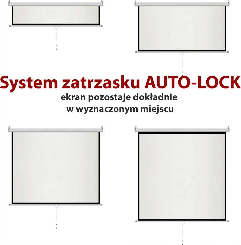 ART RANKINIS EKRANAS 150 colių 229x305 cm MA-150 4:3
