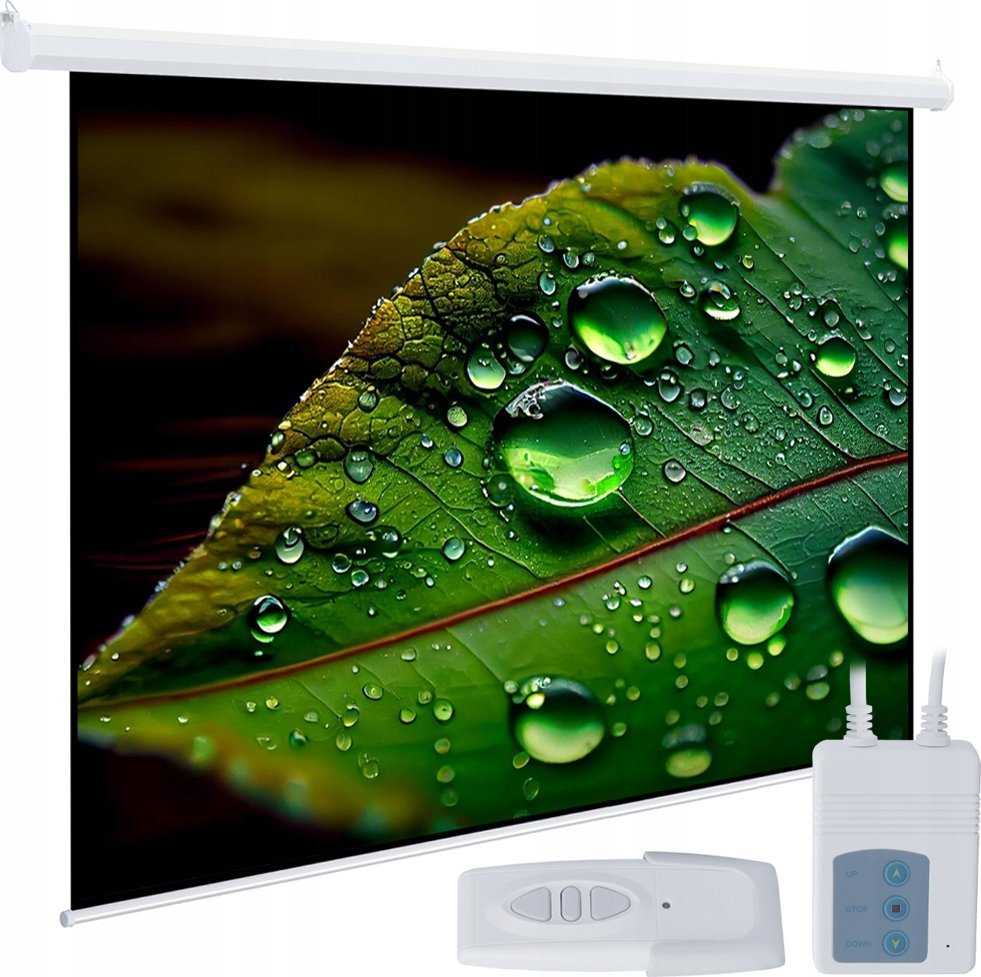 Projektorius ART ELECTRIC SCREEN 96inch 244x244cm su pultu EA-96 1:1