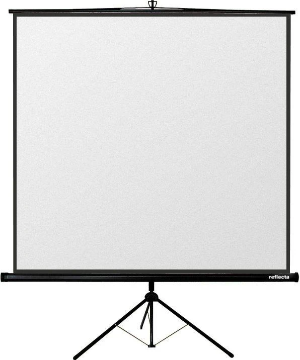 Ekranas projektoriui su Stovu 240x240cm Reflecta CrystalLine