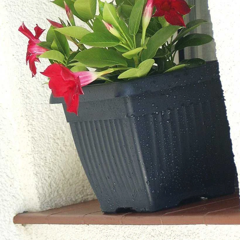 Prosperplast gėlių vazonas TERRA DKWT37 antracitas