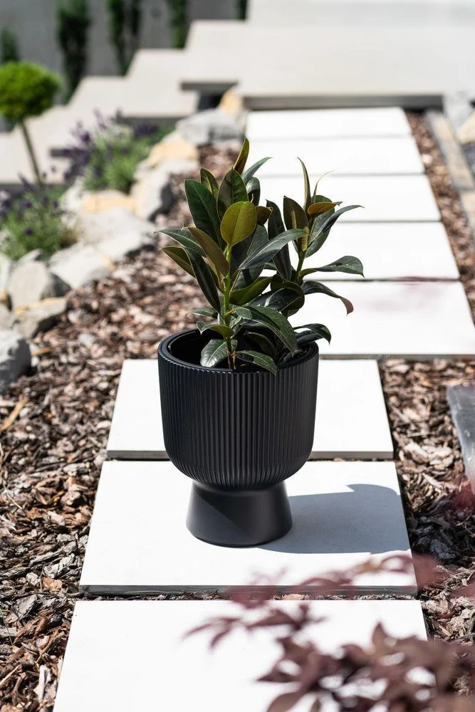Prosperplast Vazonas Milly ant kojelės 30 cm šviesiai pilkas