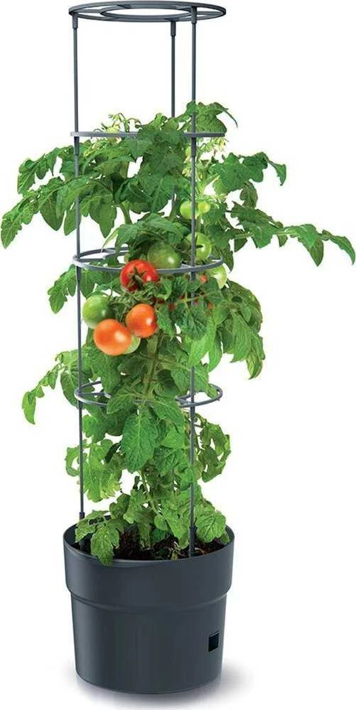 Prosperplast Pomidoro sodinimo vazonas su kopetėlėmis 18 L