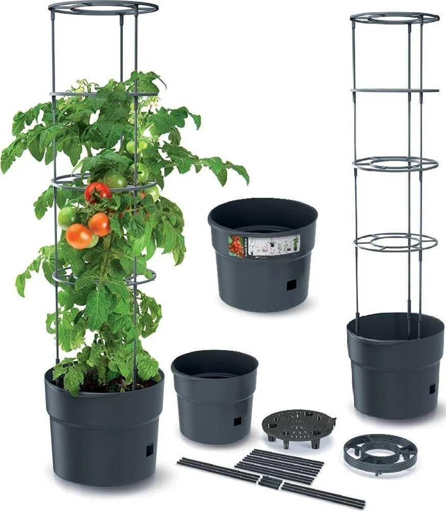 Prosperplast Pomidoro sodinimo vazonas su kopetėlėmis 18 L