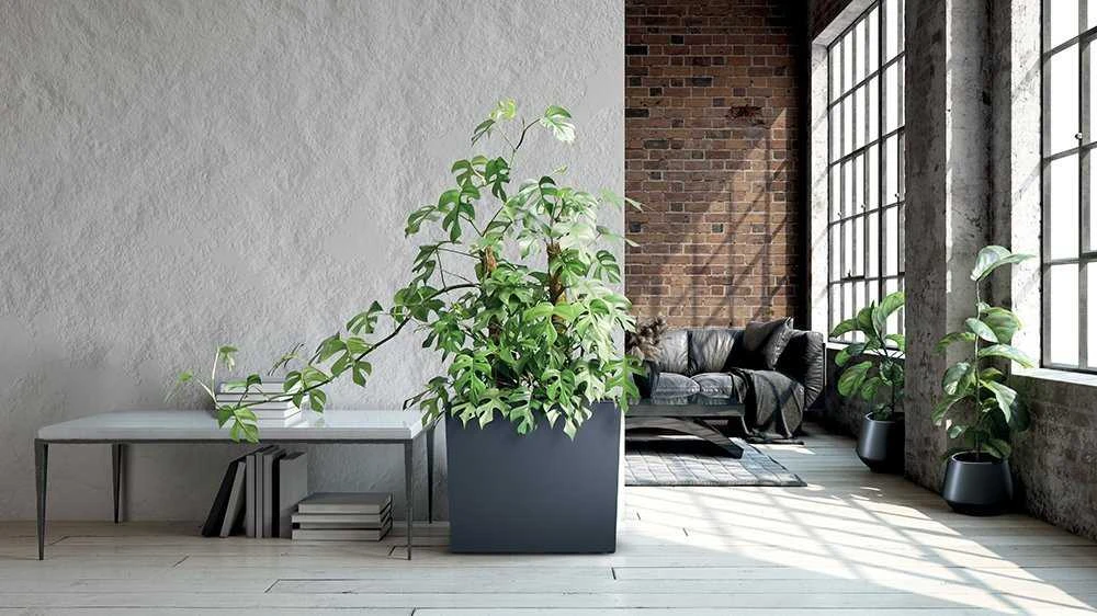 Prosperplast URBI CASE TOWER gėlių vazonas - antracitas