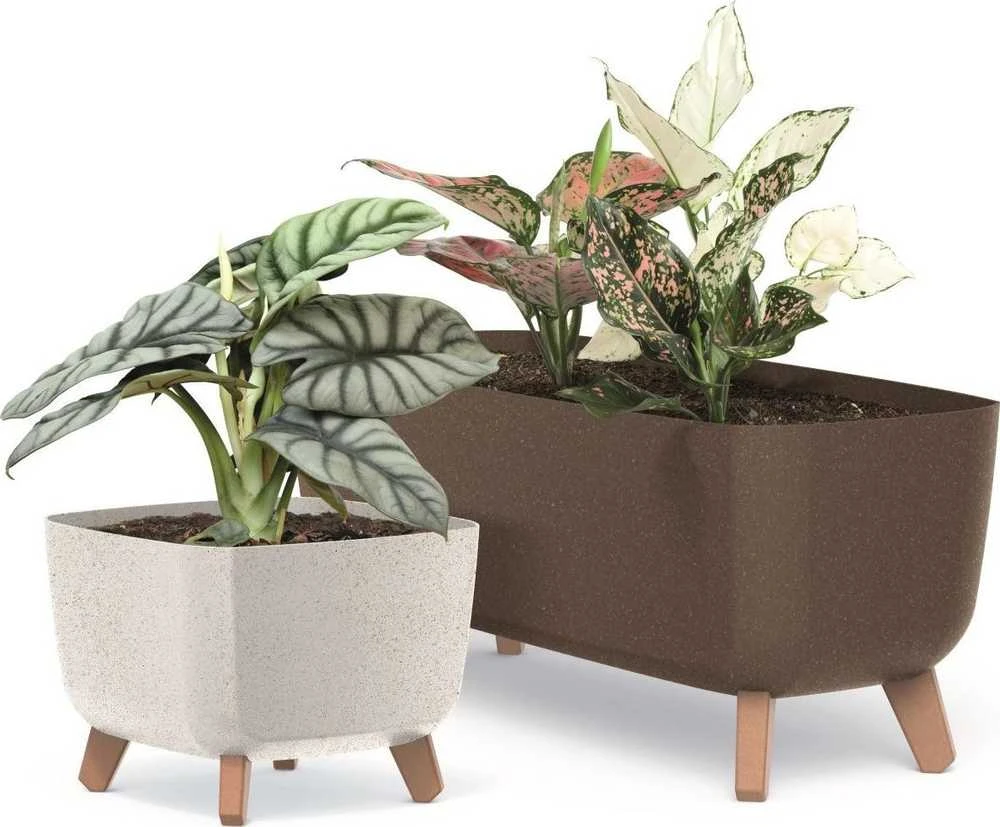 Prosperplast Gracia kvadratinis vazonas eco mediena 24x24 cm