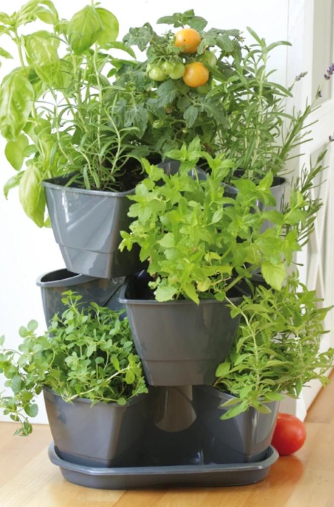 Prosperplast Trigubas puodas žolelėms Coubi Herbal antracitas