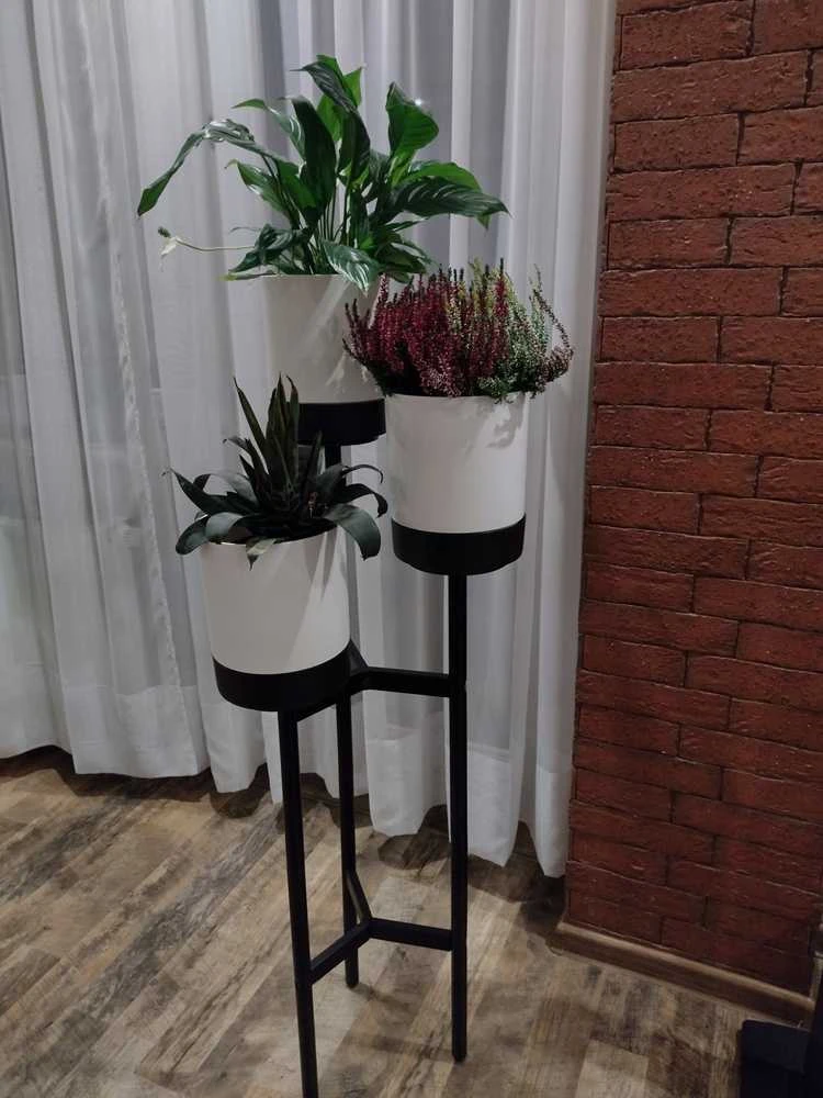 Prosperplast gėlynas BLOOMIE STAND - balta
