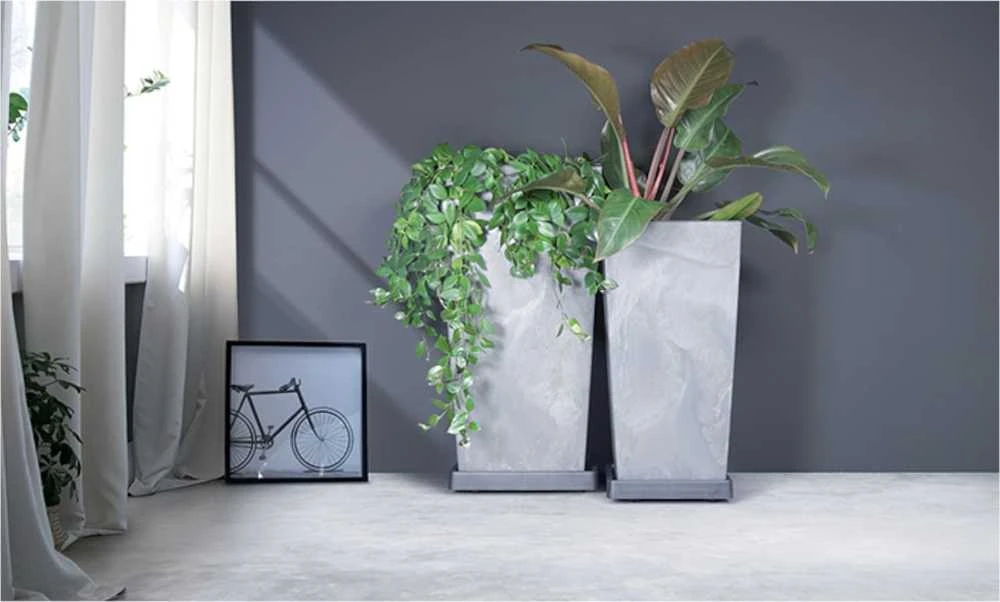 Prosperplast Mobili lėkštė 36,6 cm kvadratinė Mobili lėkštė