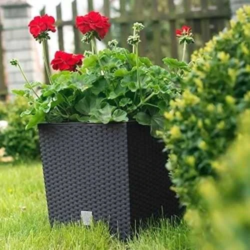 Prosperplast Doniczka Rato Low DRTS200L antracito spalvos vazonas su įdėklu