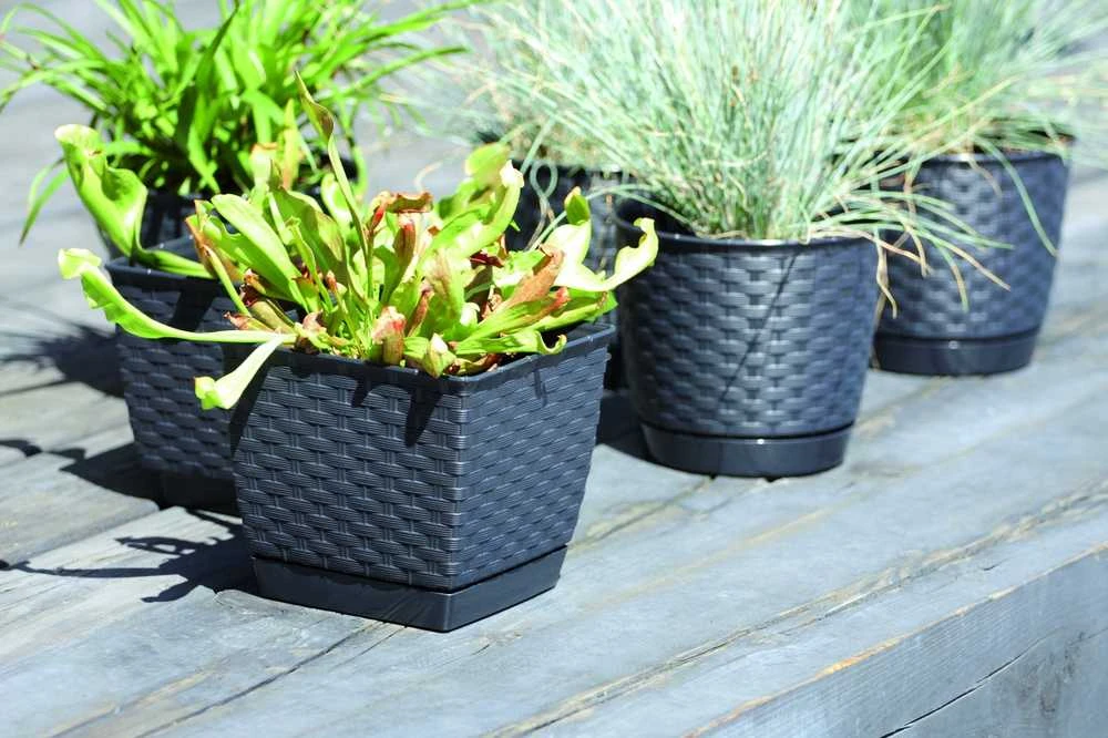 Prosperplast Doniczka kwadratowa RATOLLA SQUARE DRLK250-S433, Kolor Antracyt, , Wymiary 24x24x22 cm
