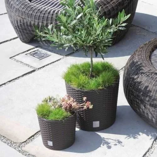 Prosperplast Vazonas su įdėklu Rato Round DRTUS300L baltas