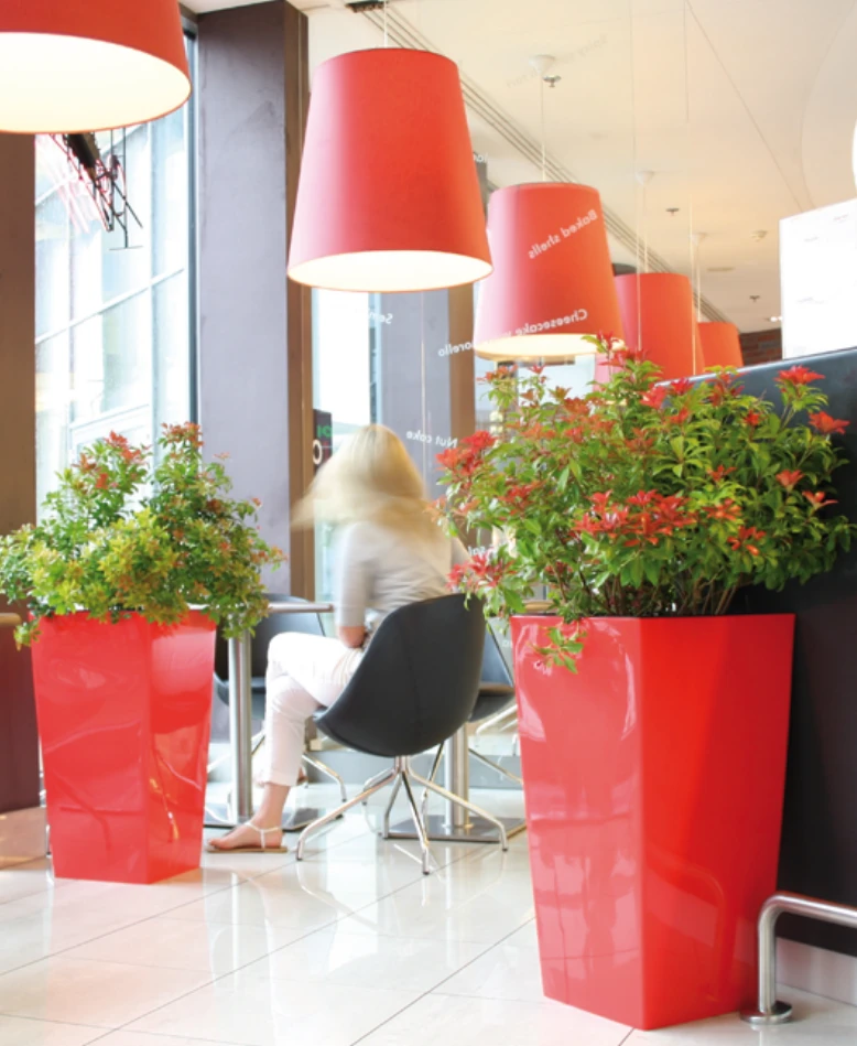 Prosperplast Gėlių vazonas su įdėklu Urbi Square DURS225 baltas