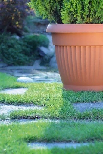 Prosperplast Plastikinis vazonas Terra nova, Ø30 cm