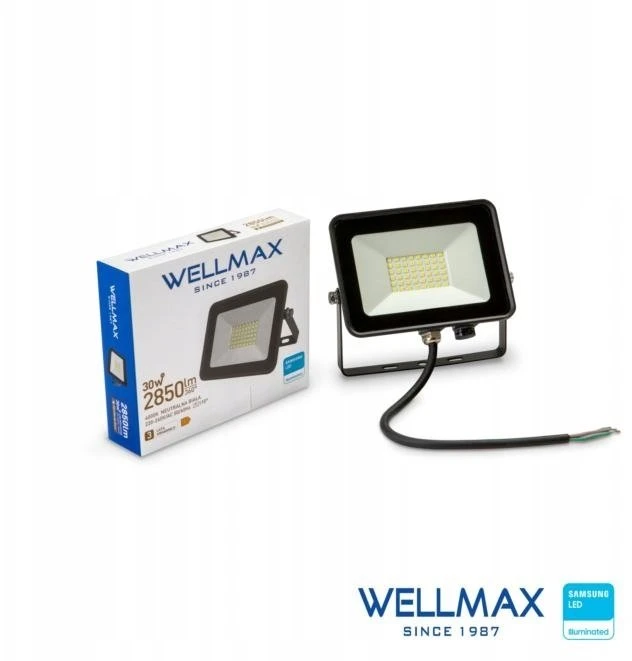 Prožektorius Wellmax LED prožektorius 30W 95lm/W 2850lm IP65 Neutrali 4000K SAMSUNG / GOL1FLN030