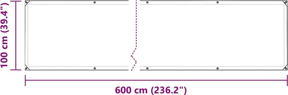 Skaidrus brezentas su ąselėmis 1x6 m PVC
