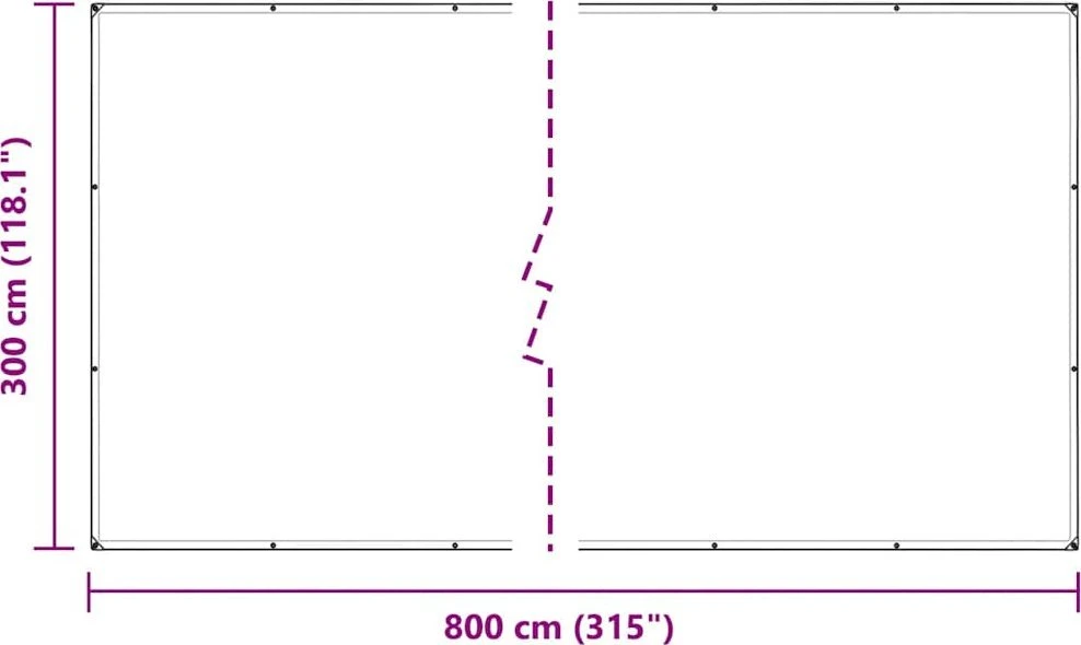 Skaidrus brezentas su ąselėmis 3x8 m Polietilenas