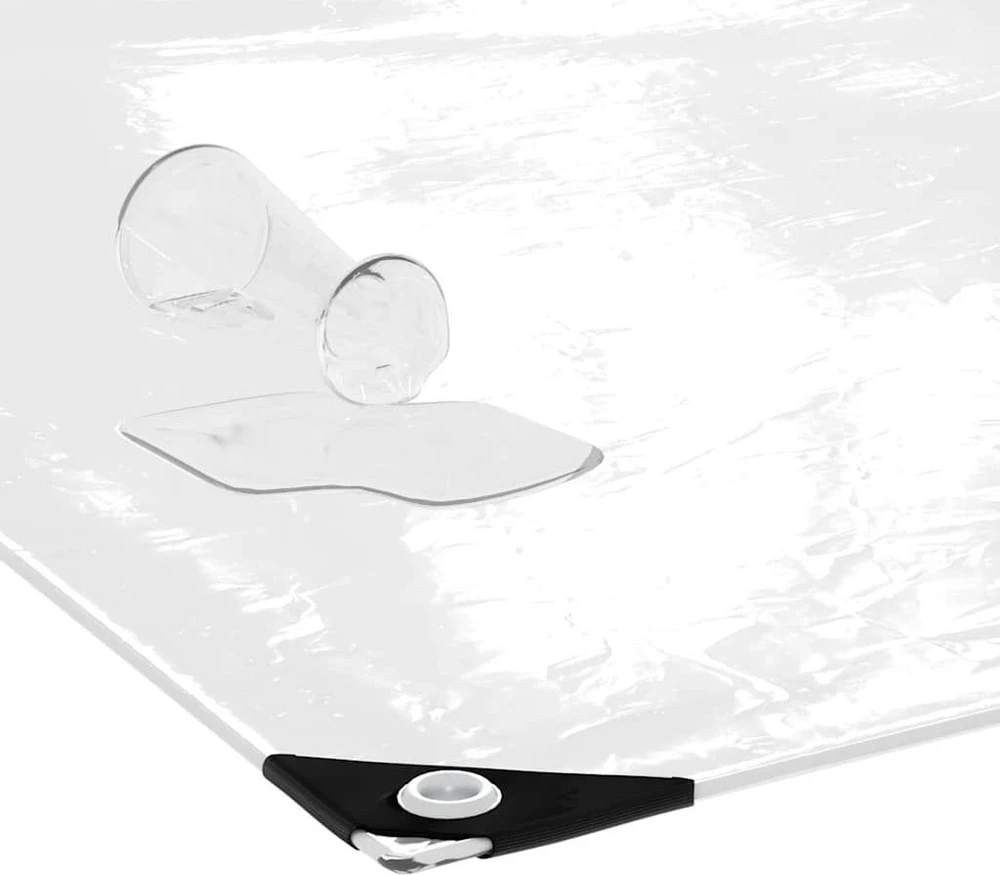 Skaidrus brezentas su ąselėmis 4x5 m PVC