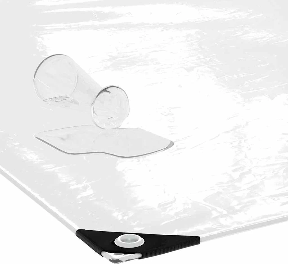 Skaidrus brezentas su ąselėmis 4x6 m PVC