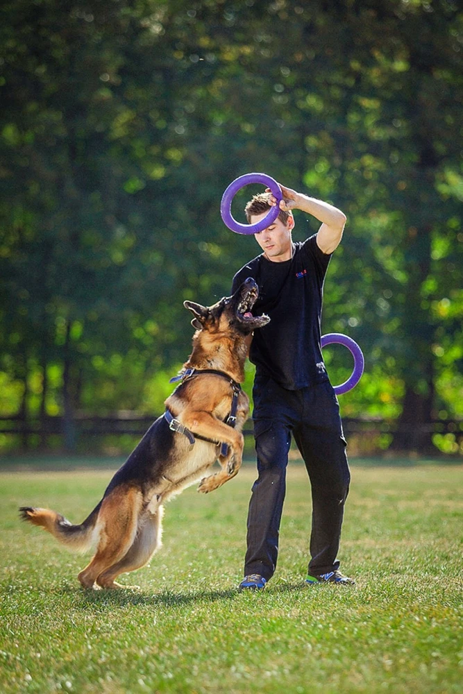 Puller Šuns mankštos ratas / žaislas Puller Standartinis 28 cm