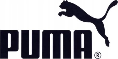Puma Ultra 5 Match FG/AG 107687 03 (46) futbolo bateliai