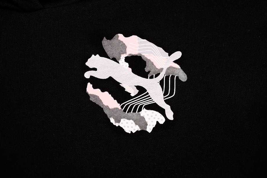 Puma Alpha Hoodie FL Jr džemperis 589232 01