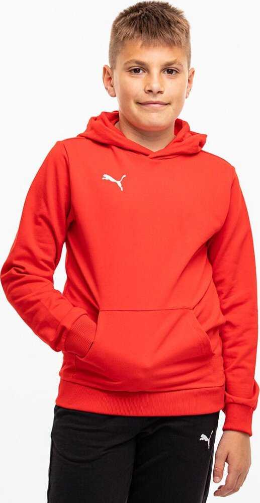 Bluza vaikams Puma Team Goal Casuals Hoddy raudona 658619 01 (152cm)
