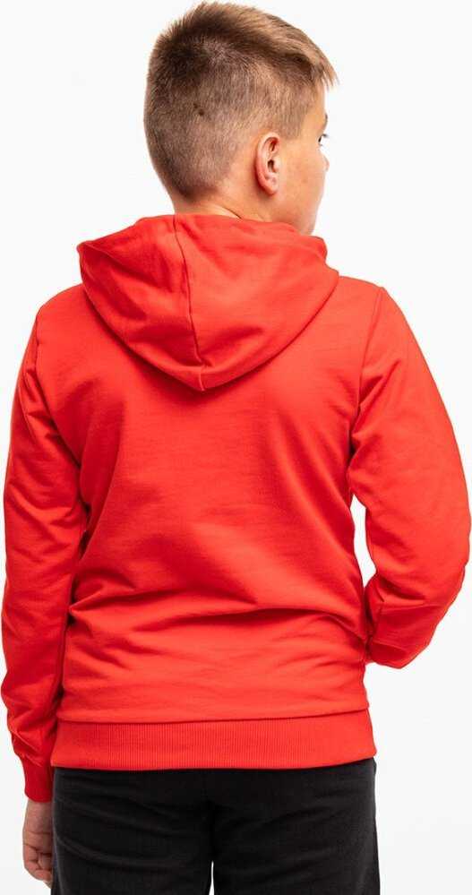 Bluza vaikams Puma Team Goal Casuals Hoddy raudona 658619 01 (152cm)