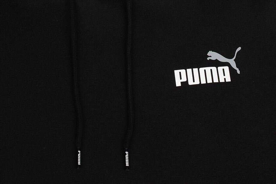 Puma ESS+ 2 Col Mažas logotipas Hoodie FL M 674471 61