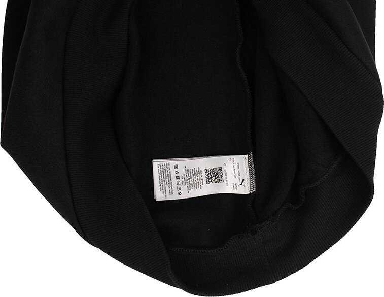 Puma ESS+ 2 Col Mažas logotipas Hoodie FL M 674471 61