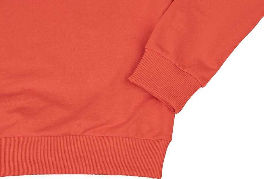 Bluza vyriška Puma Team Goal Casuals Crew Neck Sweat raudona 658592 01 (M)