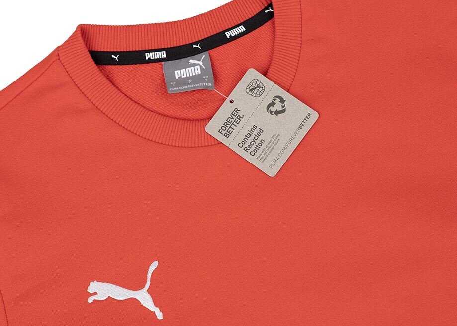 Bluza vyriška Puma Team Goal Casuals Crew Neck Sweat raudona 658592 01 (M)