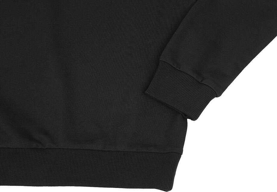 Puma Team Goal Casuals Crew Neck Sweat juoda sportinė liemenėlė 658592 03 (M)