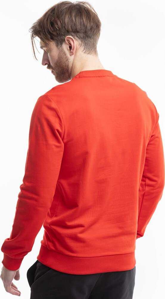 Bluza vyriška Puma Team Goal Casuals Crew Neck Sweat raudona 658592 01 (M)