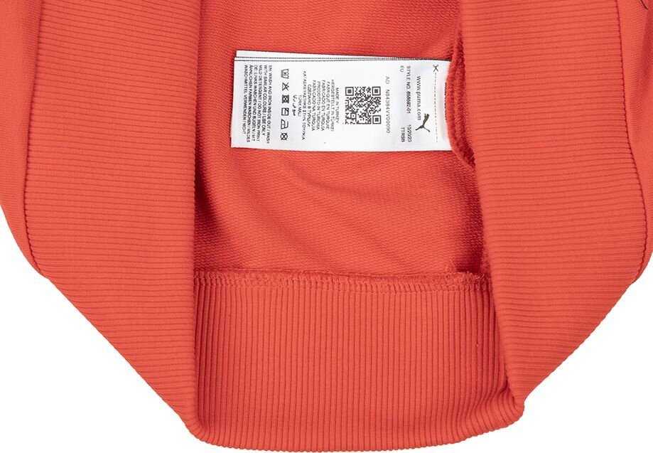 Bluza vyriška Puma Team Goal Casuals Crew Neck Sweat raudona 658592 01 (M)