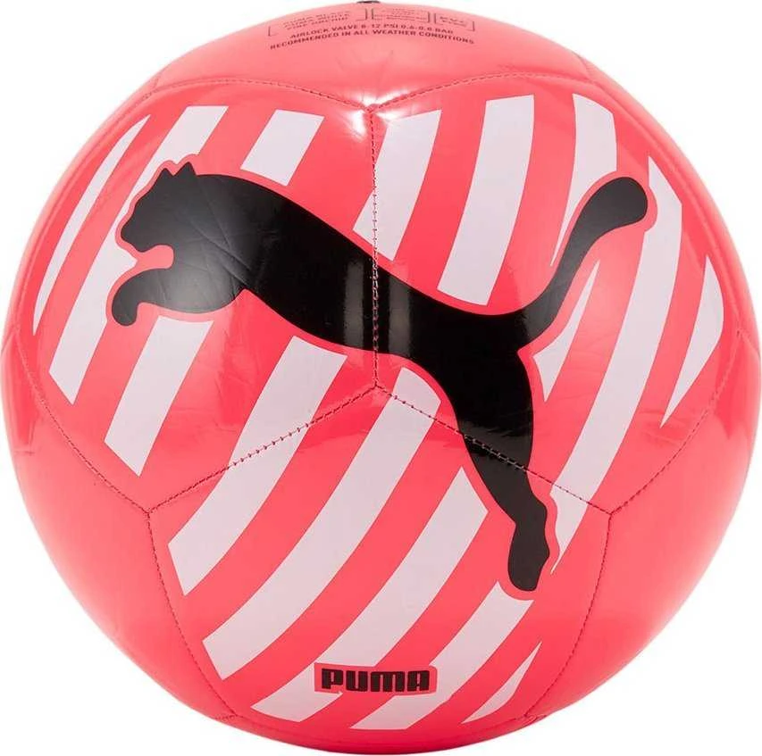 Puma Kamuolys Cat Ball (083994-05)
