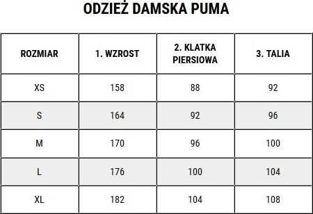 Kelnės moterims Puma Power Pants FL pilka 589546 04 (L)